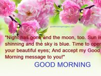 Best Good Morning Quotes Inspirational Wishes Text Messaging