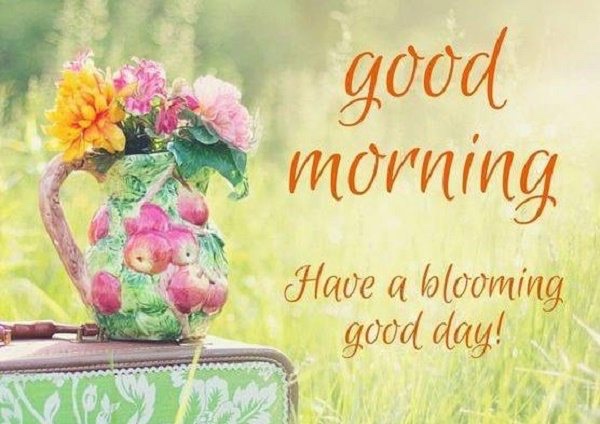 Cute good morning flowers picture
