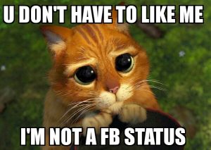 Facebook Funny Cat Good Morning Memes