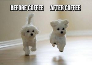 Funny cool coffee meme images