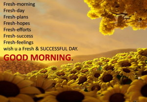 Wish You Successful Day Good Morning photo Download