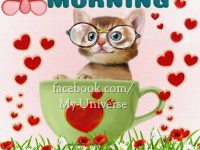 cute facebook good morning images download