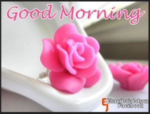 cute good morning images for friend card