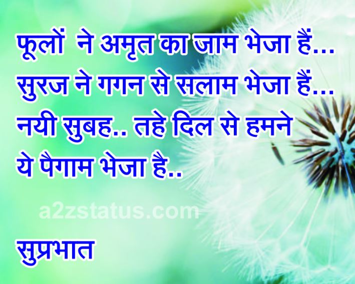 Hindi good morning beautiful quotes