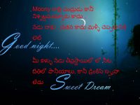 Good night shayari in hindi 140