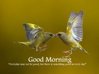 Good morning images bird quotes
